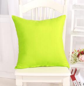 Cushion Pillow